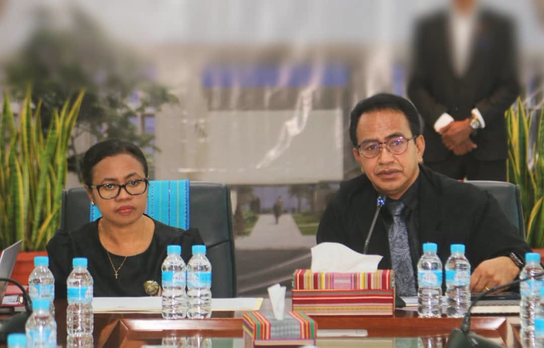 𝗚𝗢𝗩𝗘𝗥𝗡𝗨 𝗗𝗜𝗦𝗞𝗨𝗧𝗘 𝗔𝗟𝗧𝗘𝗥𝗔𝗦𝗔𝗨𝗡 𝗟𝗘𝗜 𝗞𝗢𝗡𝗧𝗥𝗔 𝗩𝗜𝗢𝗟É𝗡𝗦𝗜𝗔 𝗗𝗢𝗠É𝗦𝗧𝗜𝗞𝗔